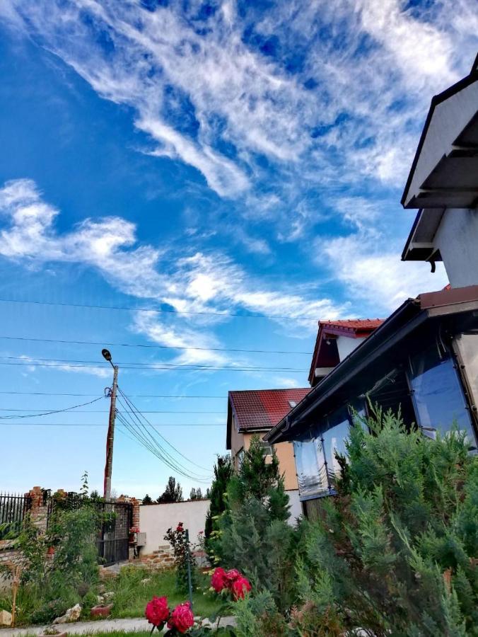מלון Năvodari Casa Alba מראה חיצוני תמונה