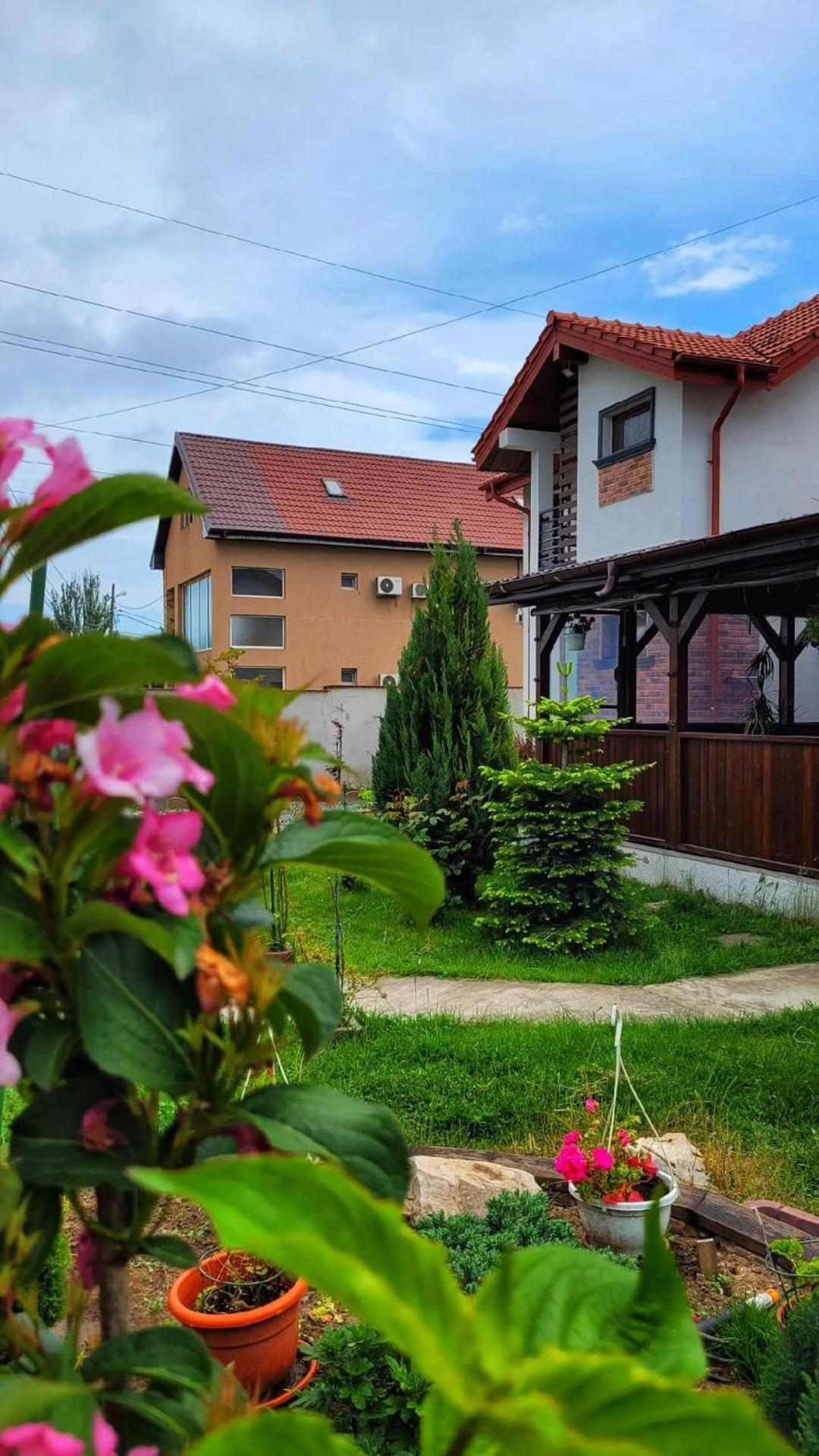 מלון Năvodari Casa Alba מראה חיצוני תמונה