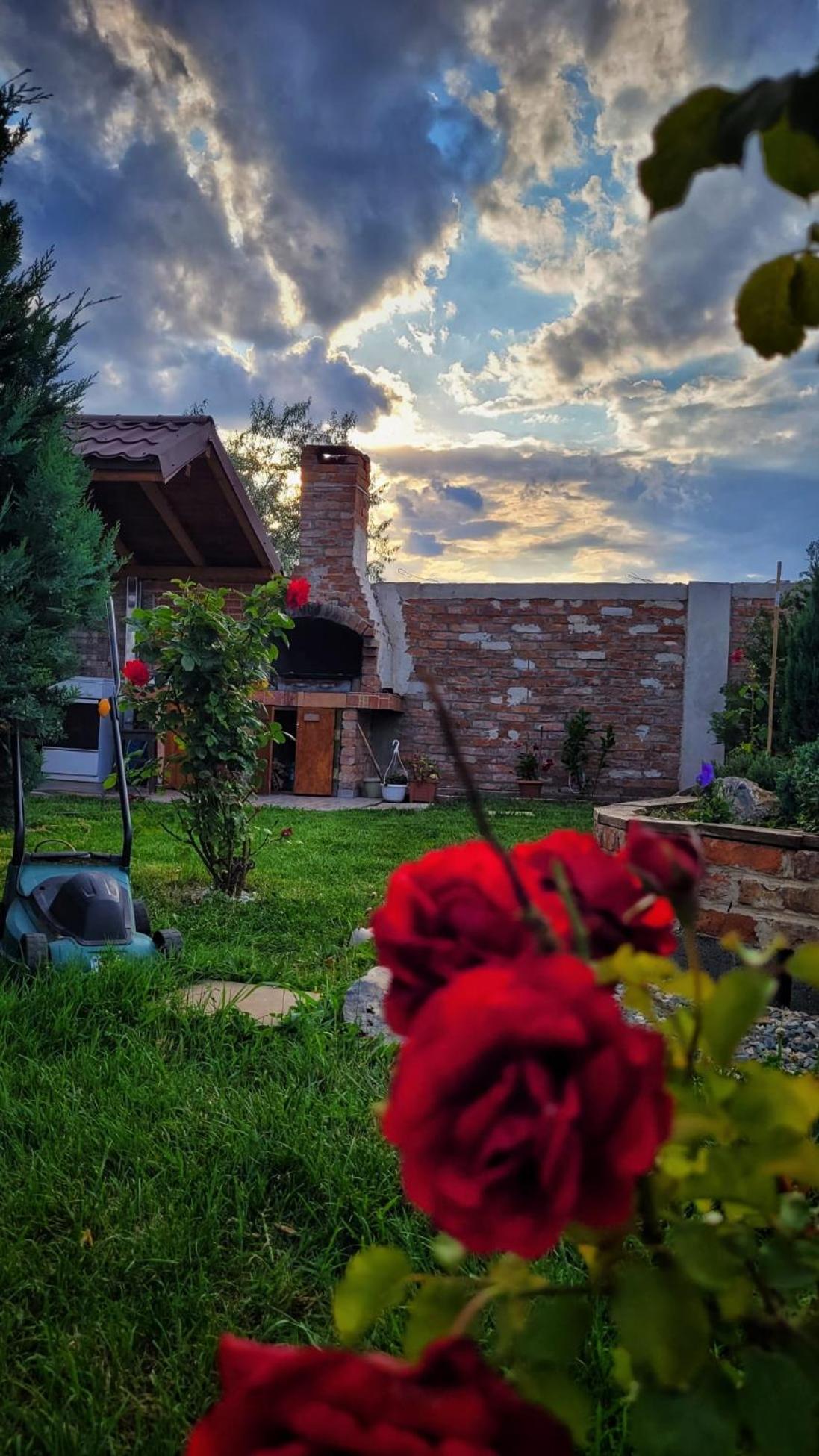 מלון Năvodari Casa Alba מראה חיצוני תמונה