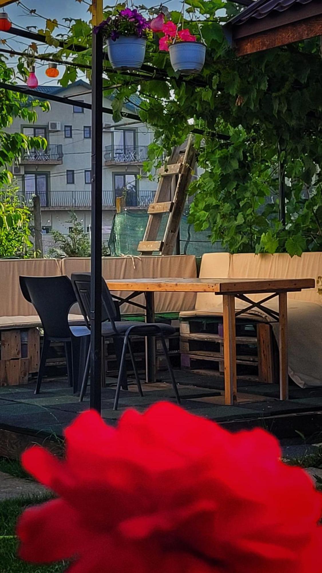 מלון Năvodari Casa Alba מראה חיצוני תמונה