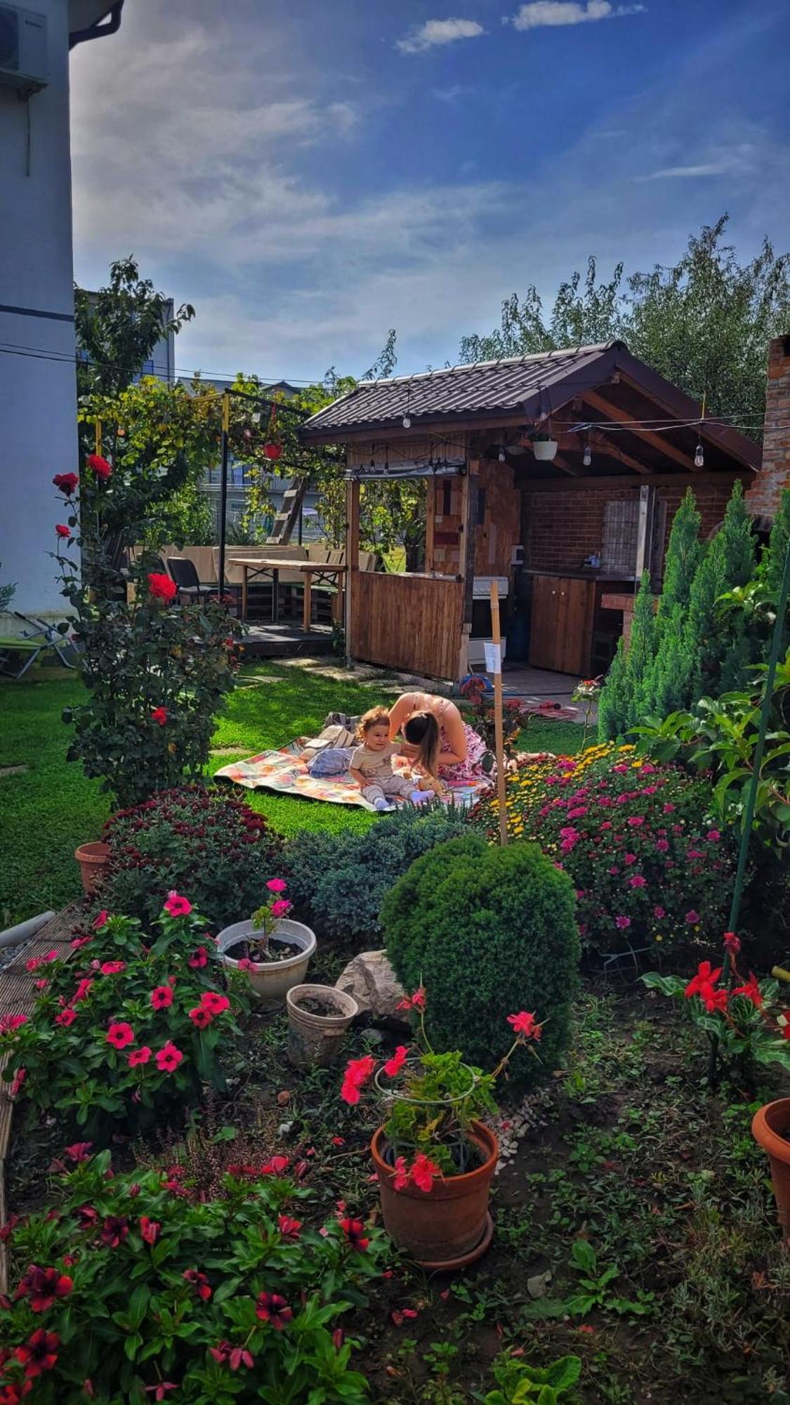 מלון Năvodari Casa Alba מראה חיצוני תמונה